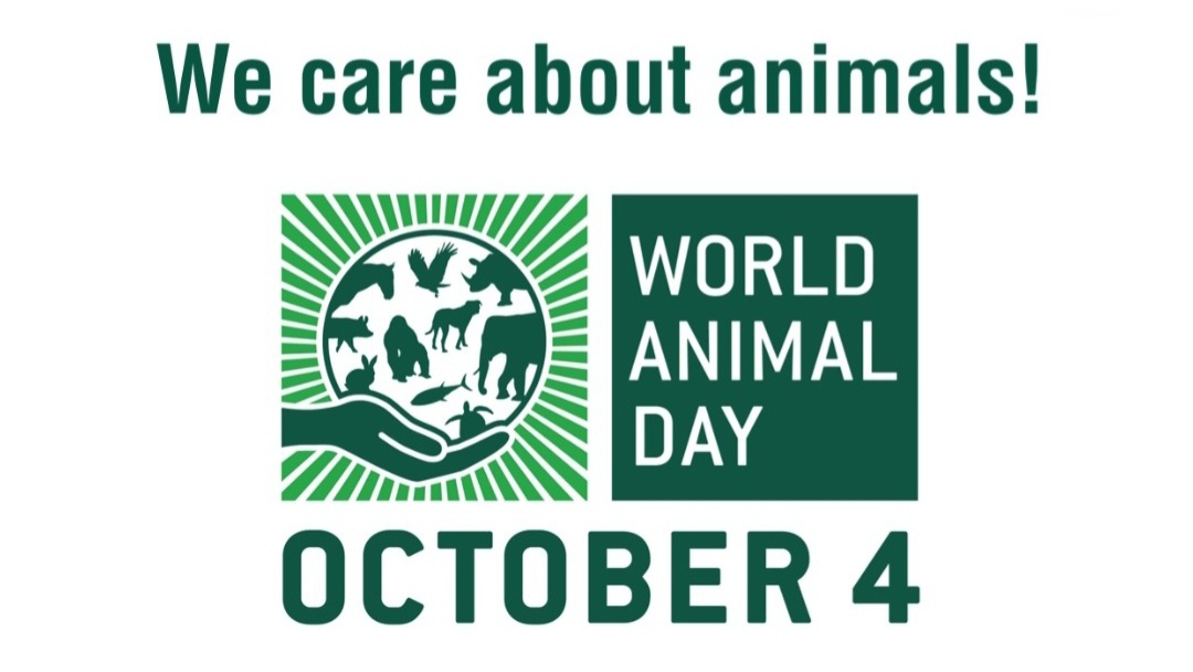 We care about animals! Das Motto des Welttierschutztages am 4. Okotber 2026 We care about animals! Welttierschutztag 4. Okotber 2026